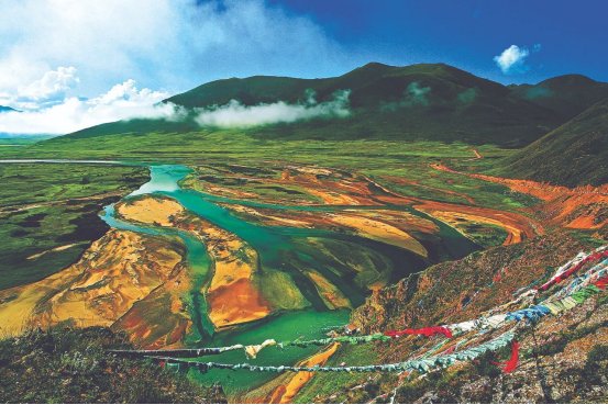 習近平總書記考察青海重要講話在青海省林草干部職工中引發熱烈反響