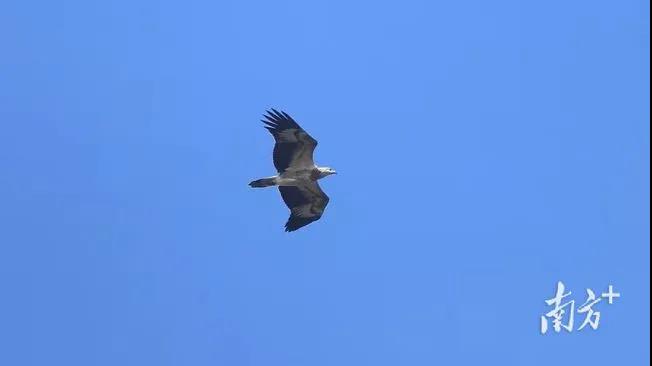 178693d35052703ce1e832a732c21839.jpg 001.jpg