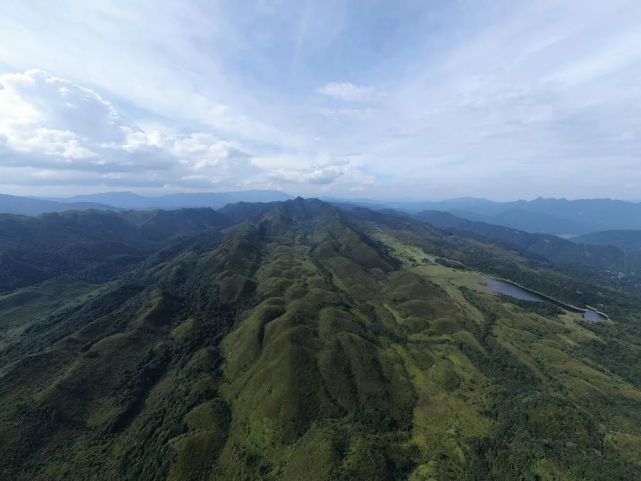 羅坑鱷蜥保護區(qū)首次發(fā)現(xiàn)鴛鴦