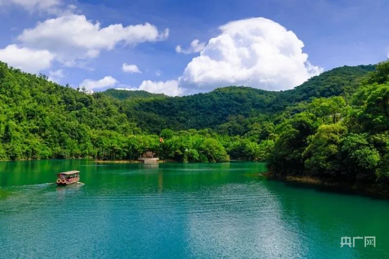 d8e312ab1fe33c78019b0c752ec817a1.jpg 004.jpg