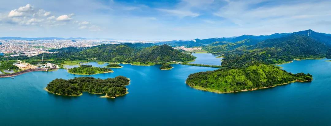 4bb591d9094eafc9c7c8126548e81d00.jpg 003.jpg