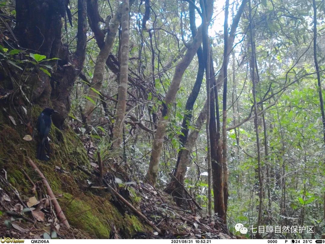 6f224d7240ce65fcbeaf40fc10734274.jpg 024.jpg