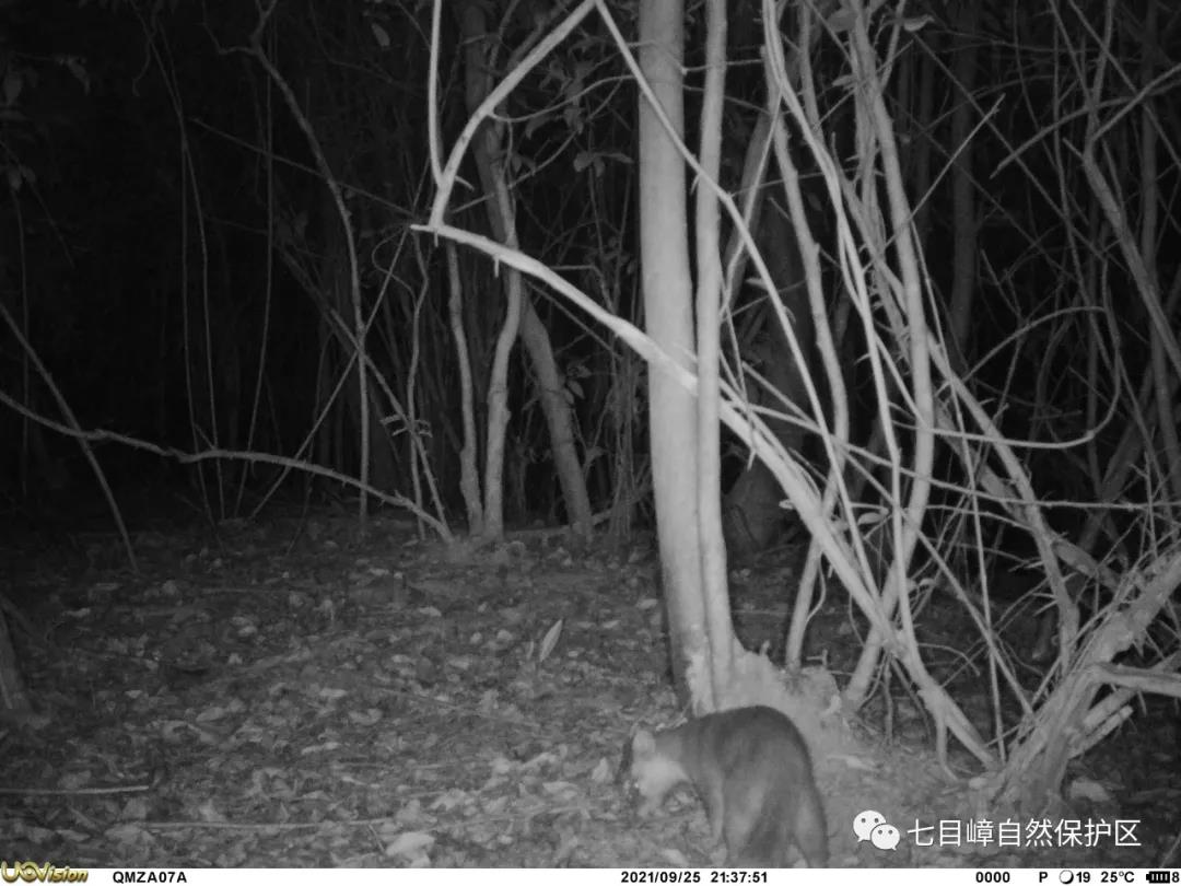 84728e34d15495bbea6bc924800ba50d.jpg 018.jpg