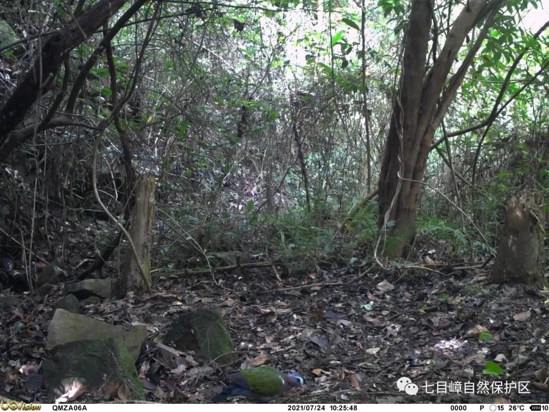 f0e9cd23dd4066610a4294d0d921afdc.jpg 020.jpg