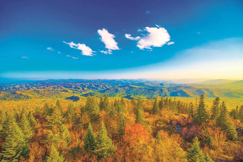 8b32f6e25fff6bf8806aa1b792289bfc.jpg 東北虎豹國家森林公園.jpg