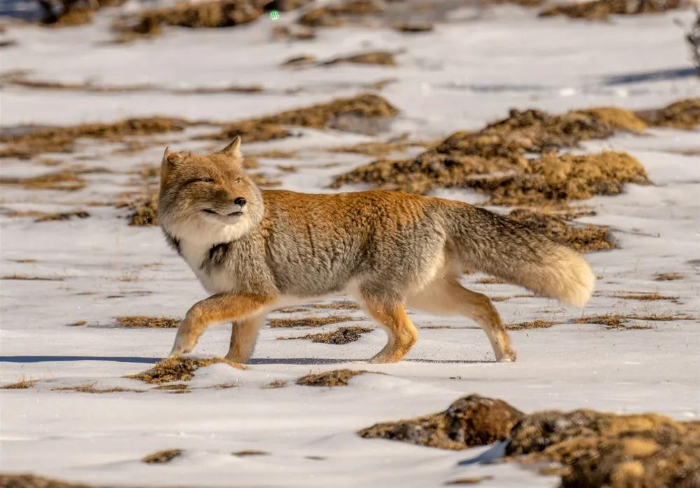 8ccca0bb9babf1edb18ca9f83f774488.jpg 004.jpg