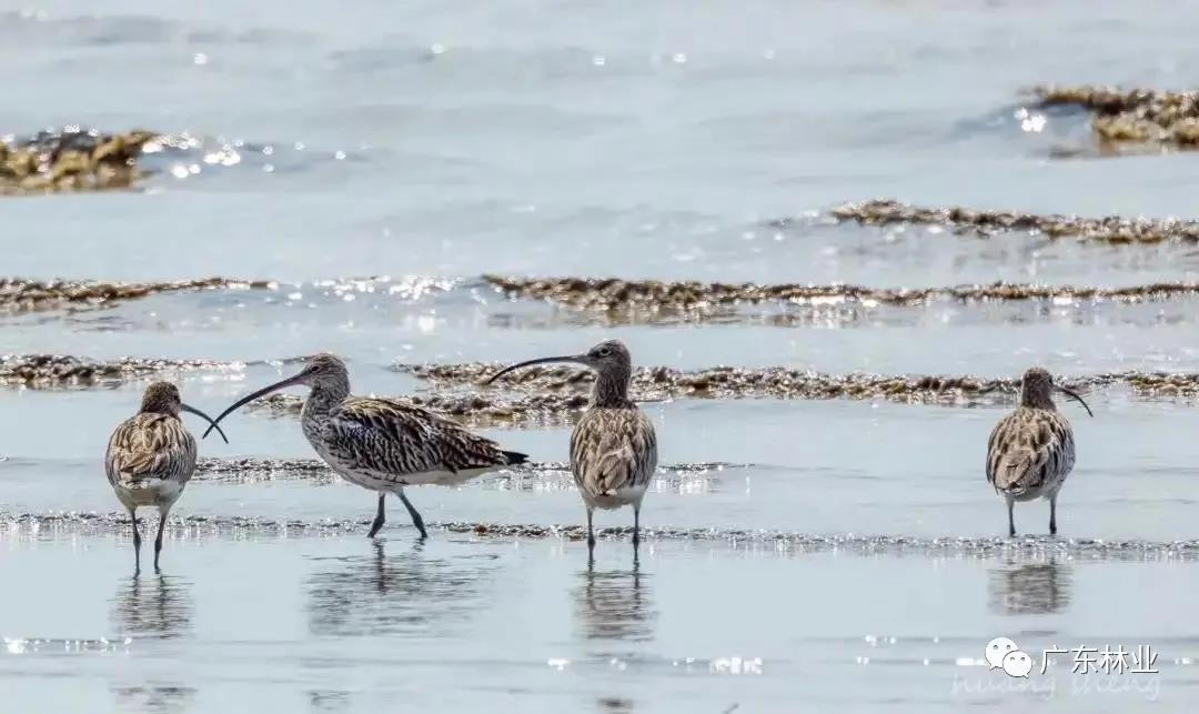 0dddc83809a5b9fe574c269ae7a1b294.jpg 005.jpg