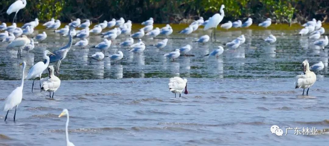 3908b5fc662bcd10d5bb3e169fc73c5d.jpg 011.jpg