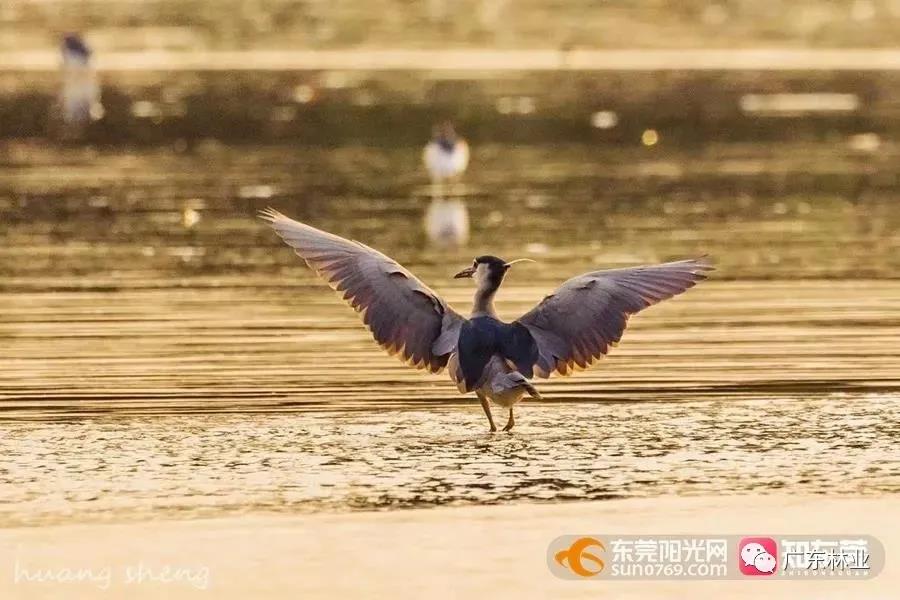 7ad793d05d3d9daa93023391e98b33c4.jpg 008.jpg