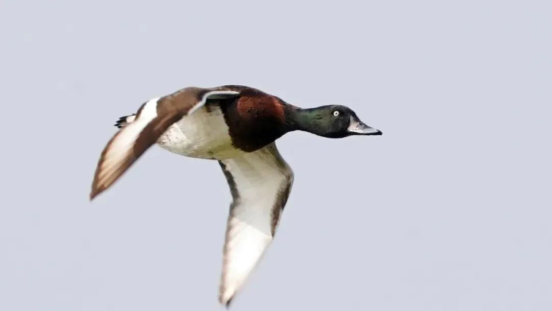 3c53597b2262f25ba6739742eea60cd8.jpg 011.jpg