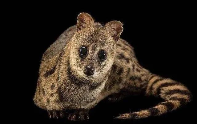 51a464f79a8fa7d9fefa4d162abd11f7.jpg 005.jpg