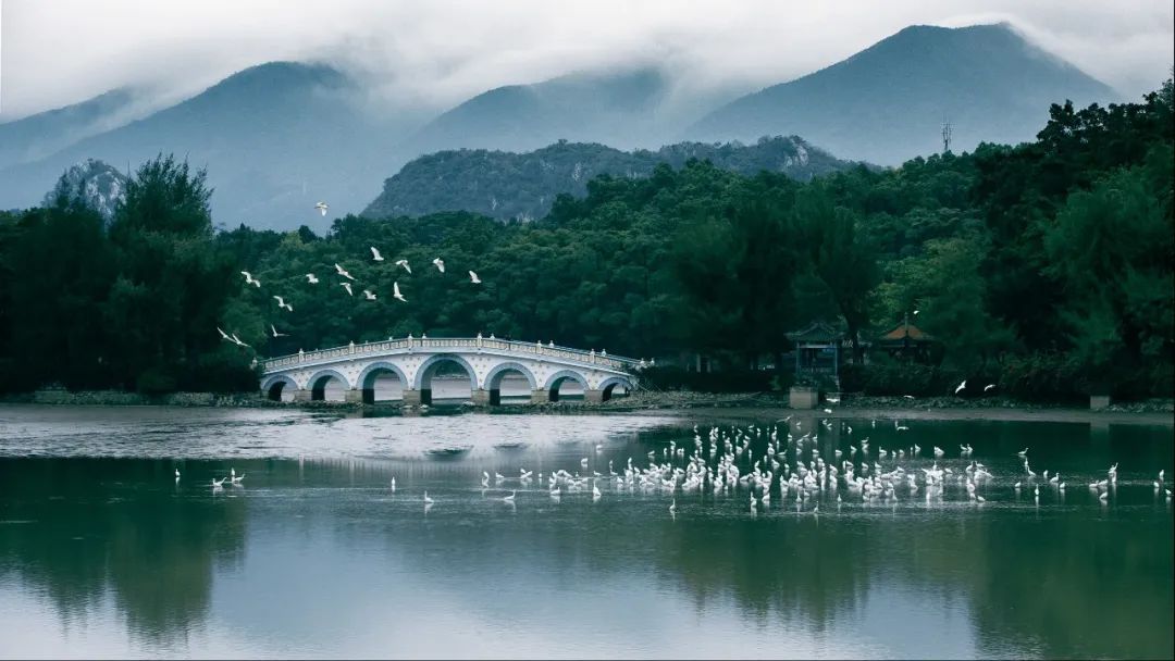 廣東省發(fā)布2022年第1號(hào)總林長(zhǎng)令