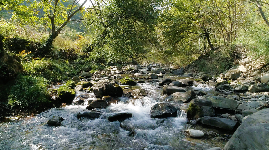 d1c984d9699d633fd4691d81dd30cdc6.png 003.png