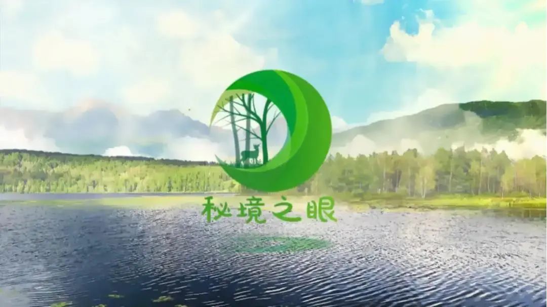 b681be7662b77ed6b92c01b8bdc888db.jpg 007.jpg