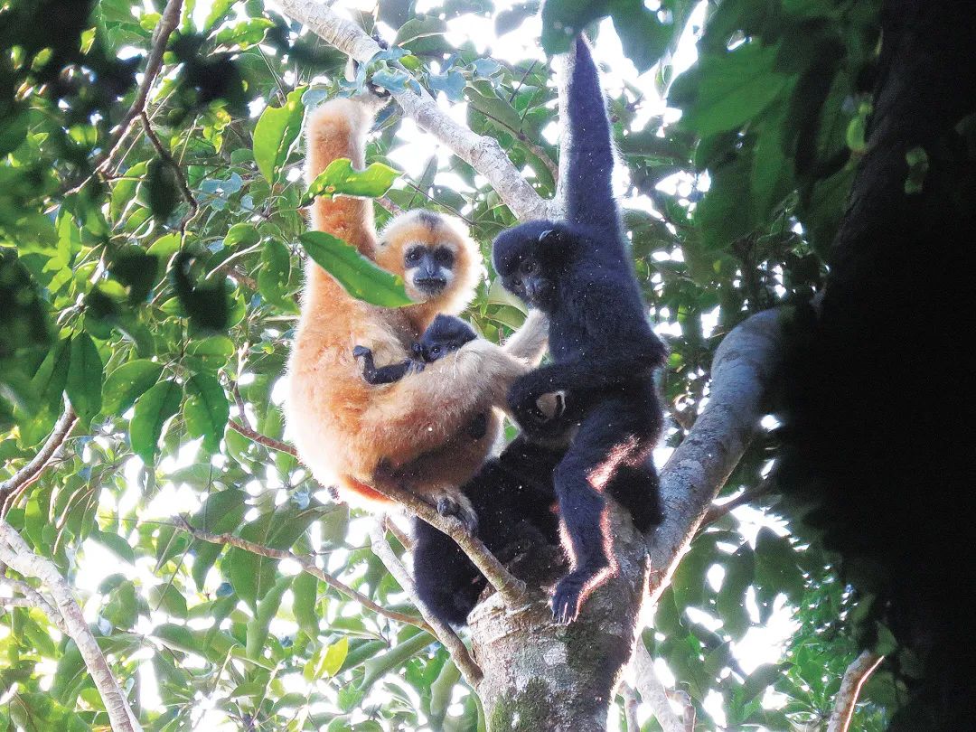 fc0501ca5d64c02d001df769b16e1a48.jpg 006.jpg