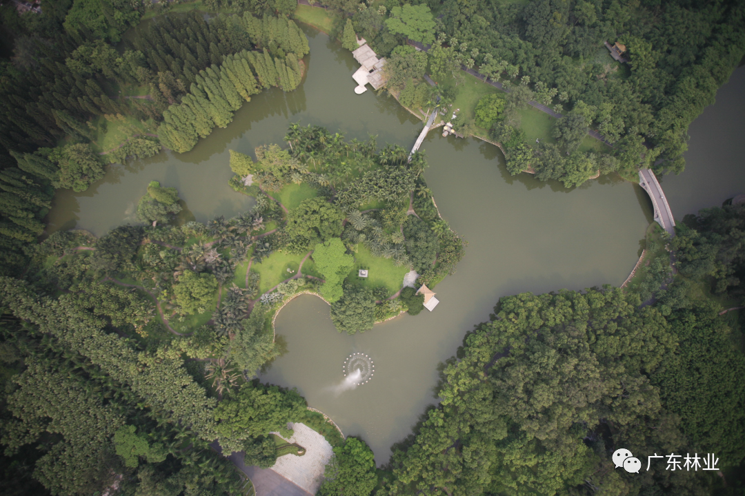 ef596fa112c79e515ce093e188c6322b.png 008.png